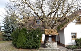 Ein Bett im Kornfeld - Haus Weitblick - mit Innenpool